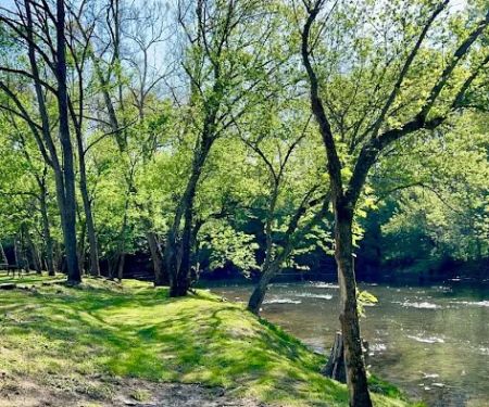 Paddlers Creekside Campground