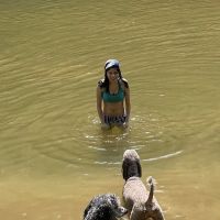 Carls Campsites ico