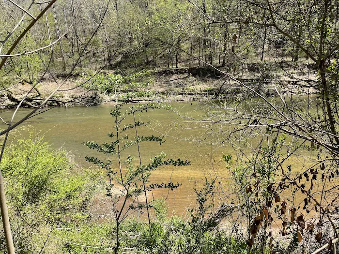 Carls Campsites Picture 7