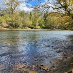 Pilot Mountain State Park Canoe-In Campsites