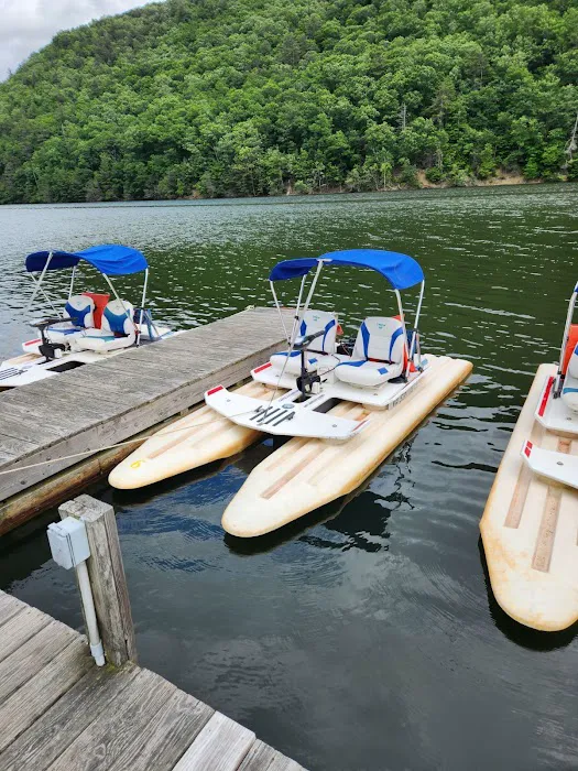 Gatewood Park Campground Picture 9