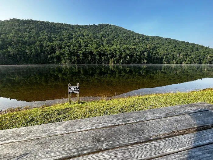 Gatewood Park Campground Picture 2