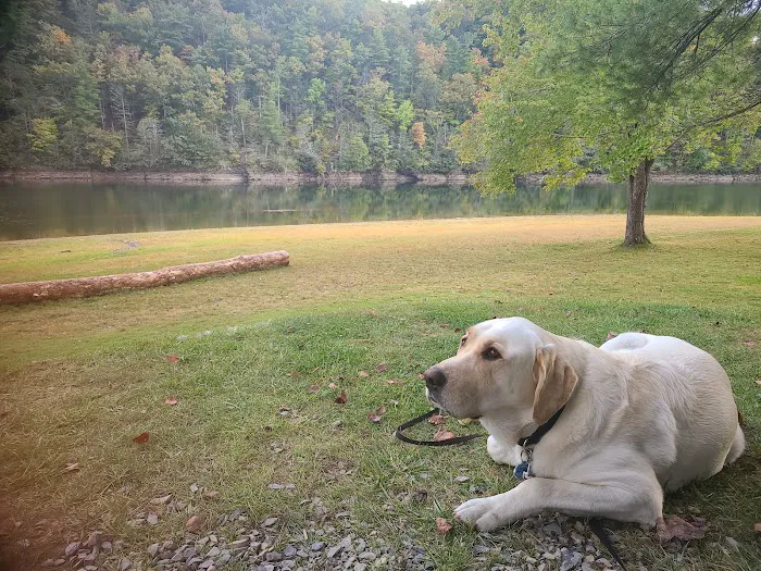 Gatewood Park Campground Picture 5