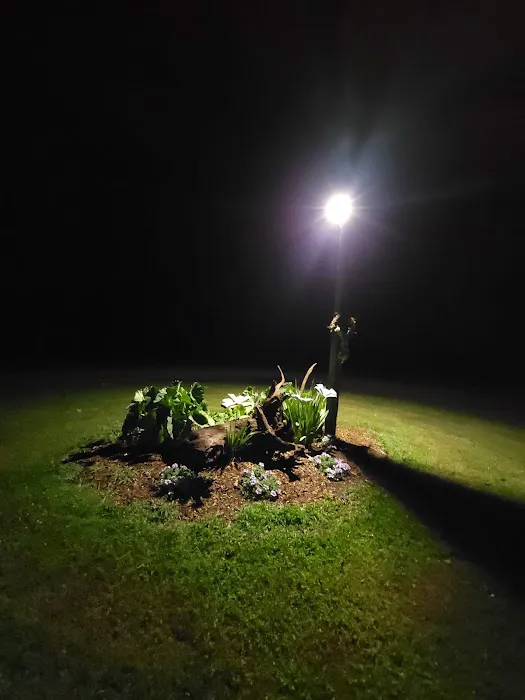 Pioneer Village RV Park Picture 2