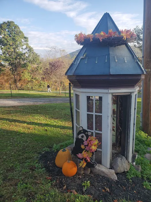 Pioneer Village RV Park Picture 4