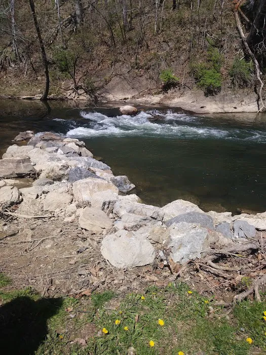 Pioneer Village RV Park Picture 1