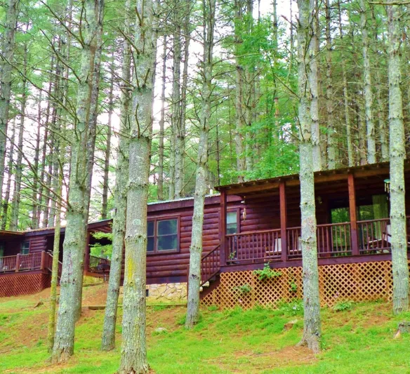 Chestnut Creek Cabins Picture 7