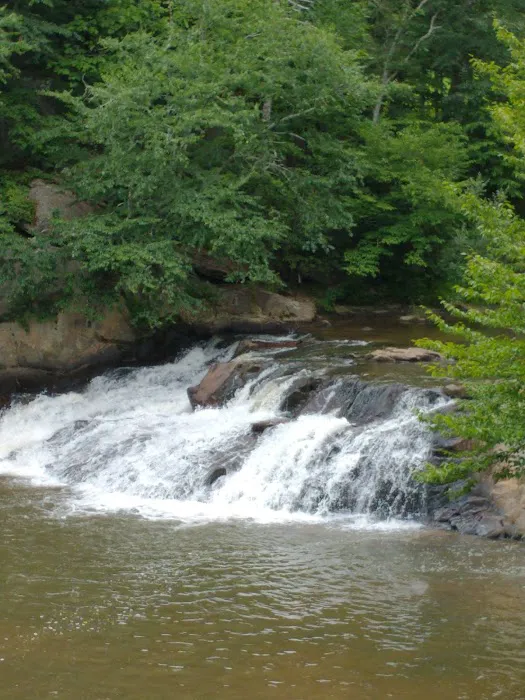 Chestnut Creek Cabins Picture 4