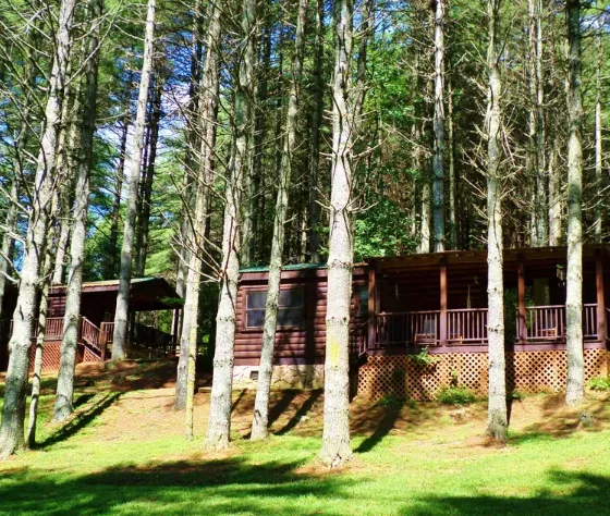 Chestnut Creek Cabins Picture 10