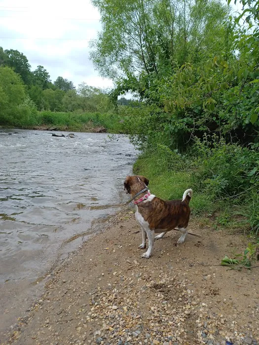 Cliffview Campground Picture 10