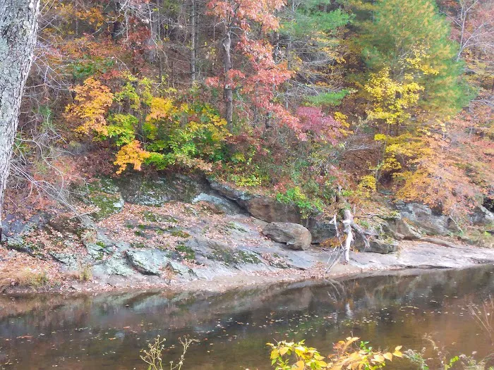 Cliffview Campground Picture 8