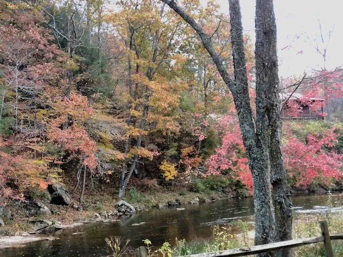 Cliffview Campground Picture 5