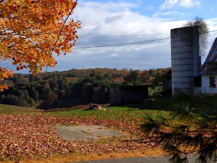 Cliffview Campground Picture 7