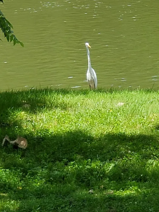 River Views Campground Picture 10