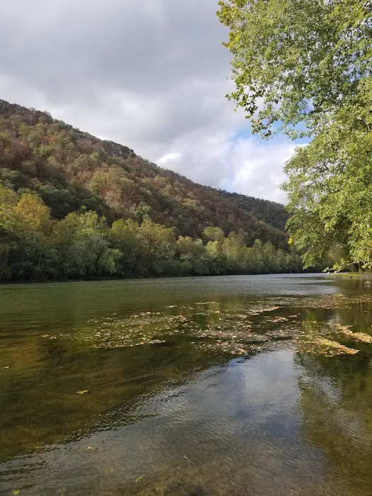 Riverchase Campgrounds Picture 3