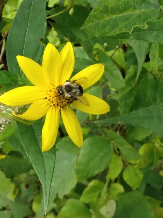 Meadow Creek Campground Picture 8