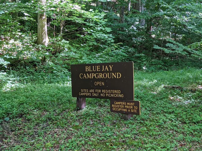 Blue Jay Campground Picture 10