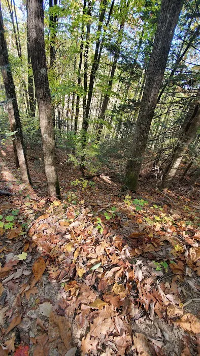 Blue Jay Campground Picture 2