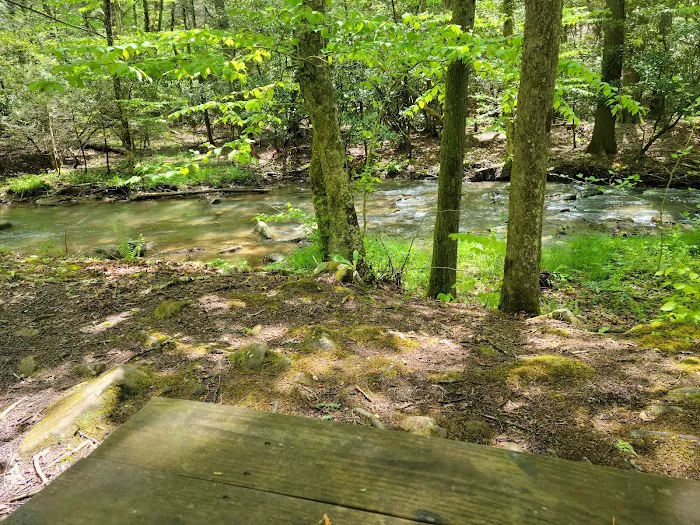 Blue Jay Campground Picture 4