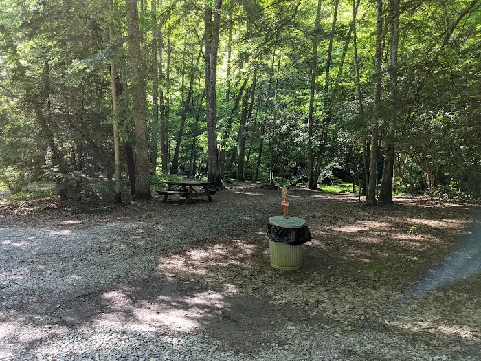 Blue Jay Campground Picture 5