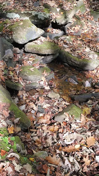 Blue Jay Campground Picture 6