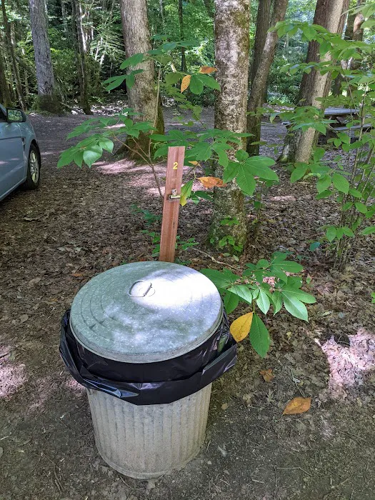 Blue Jay Campground Picture 3