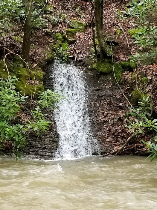 Mash Fork Campground Picture 9