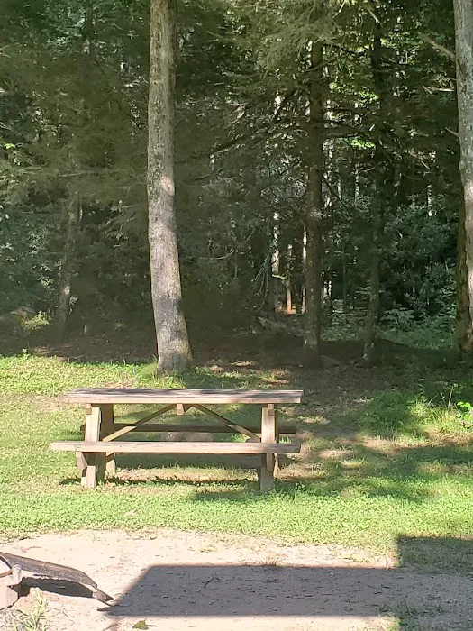 Mash Fork Campground Picture 6