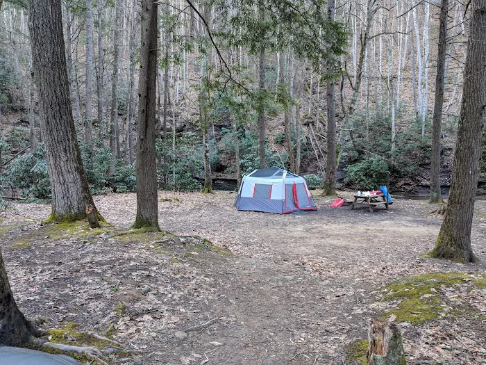 Mash Fork Campground Picture 5