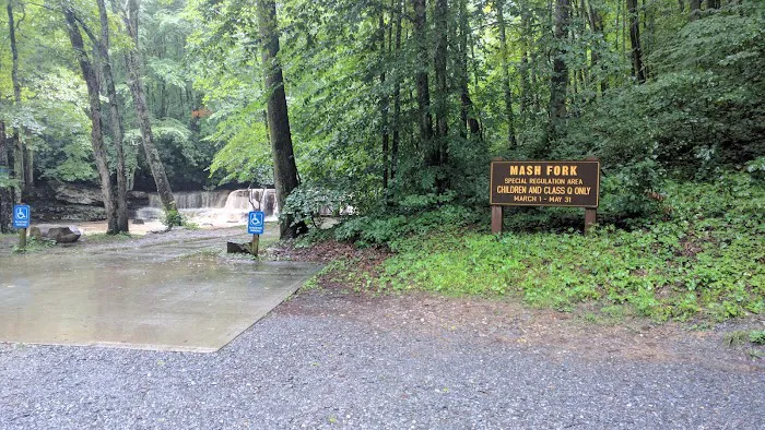 Mash Fork Campground Picture 4