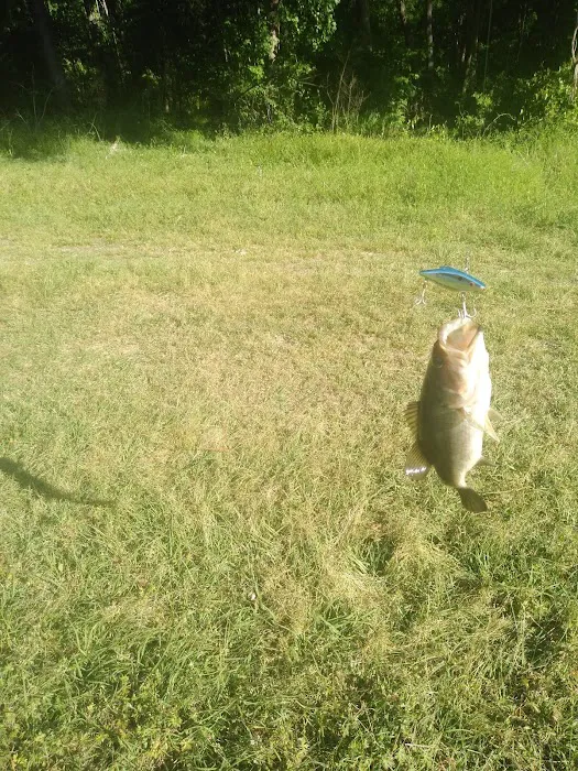 White Oak River Campground Picture 9