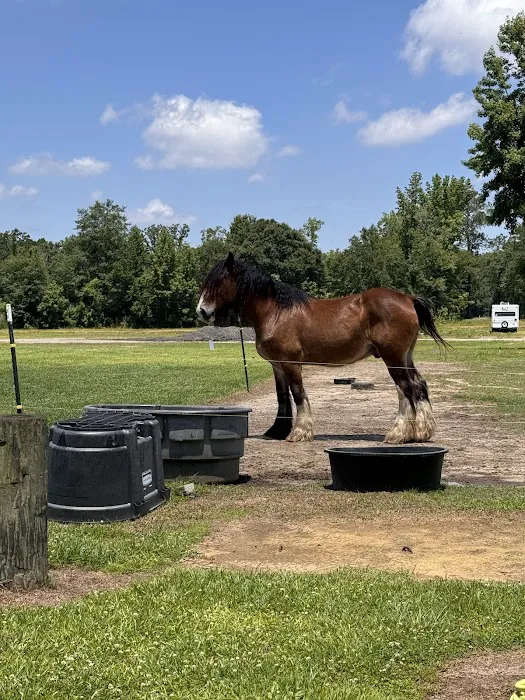 Whippoorwill Camp Ground Picture 7