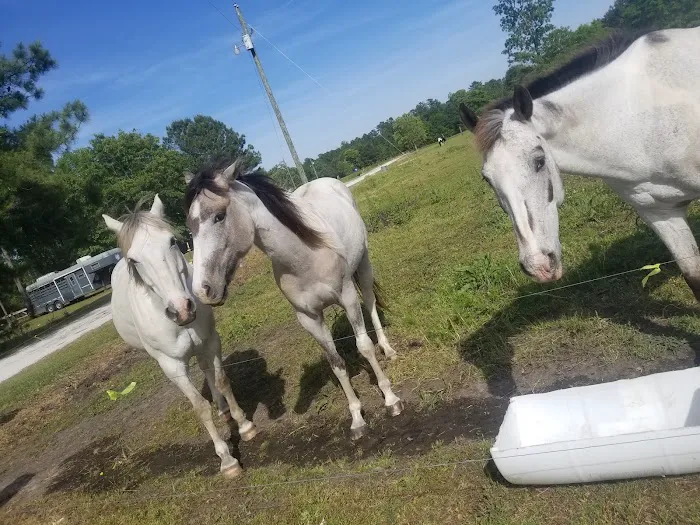 Whippoorwill Camp Ground Picture 1