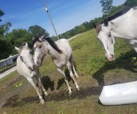 Whippoorwill Camp Ground
