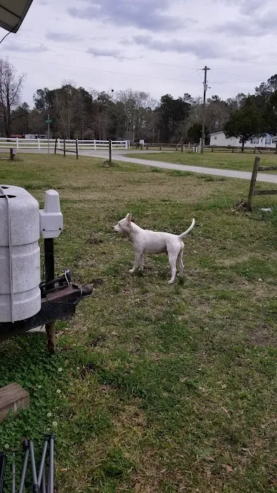 Whippoorwill Camp Ground Picture 5