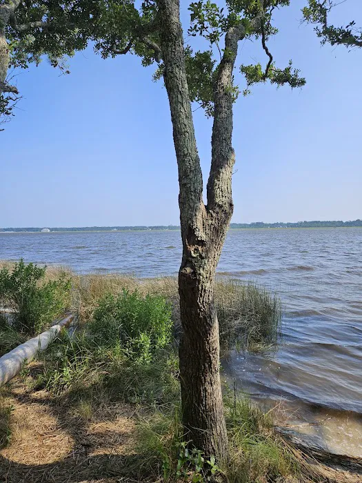 Oyster Point Campground Picture 6