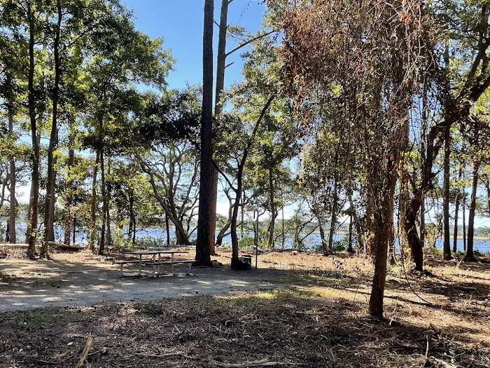 Oyster Point Campground Picture 2