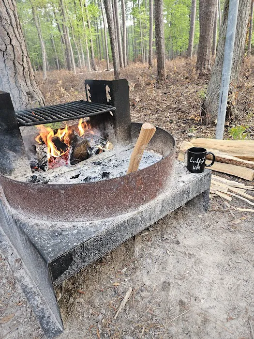 Oyster Point Campground Picture 10