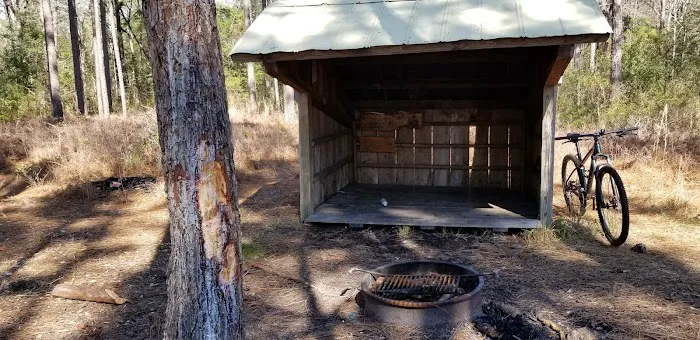 Oyster Point Campground Picture 4