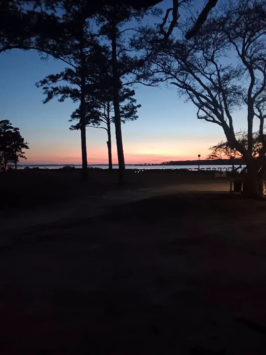 Coastal Carolina Campground Picture 5