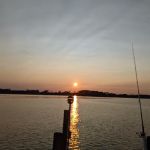 Coastal Carolina Campground