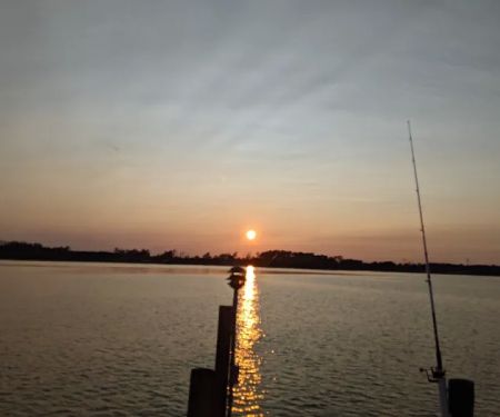 Coastal Carolina Campground