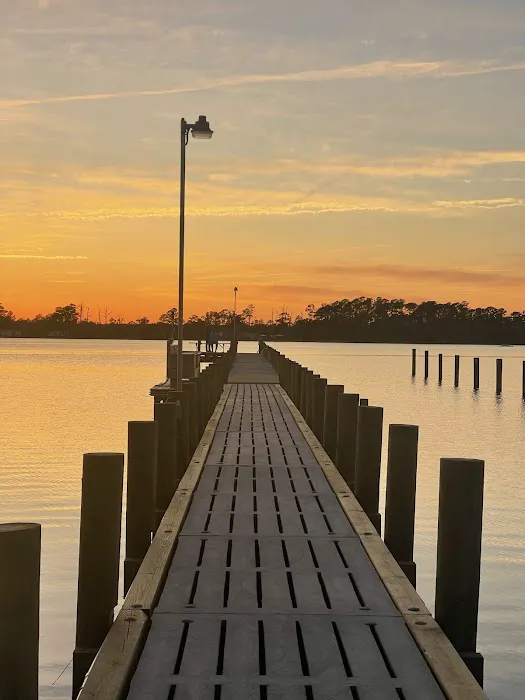 Coastal Carolina Campground Picture 9