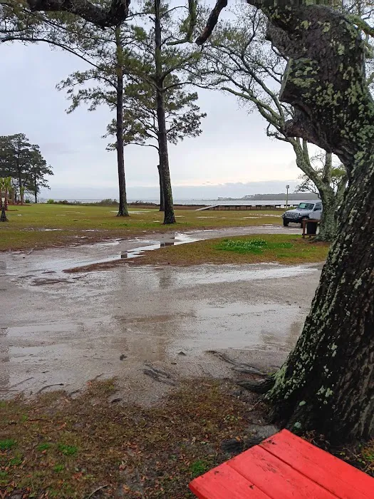 Coastal Carolina Campground Picture 2