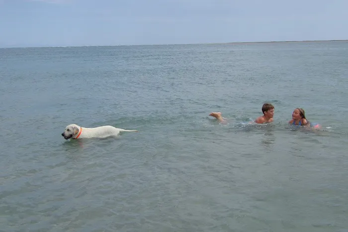 Harkers Island RV Resort & Campground check out our sister park Atlantic RV Resort Picture 6