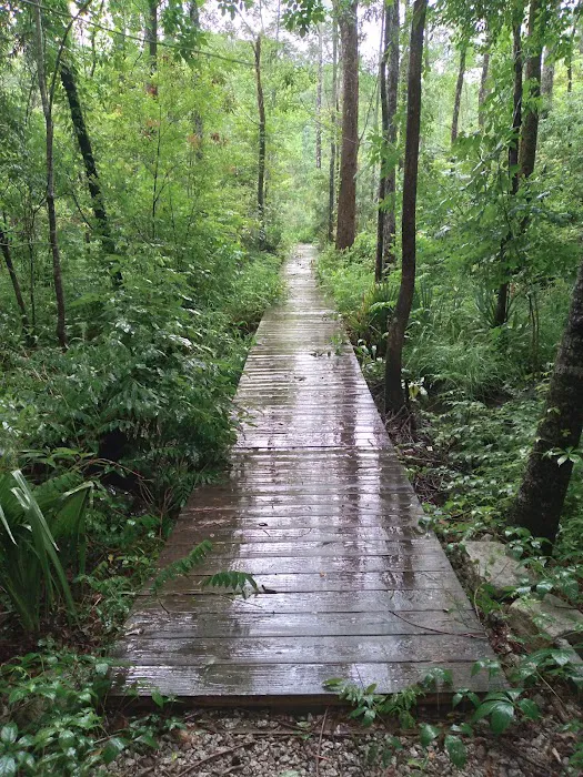 Hawkins Creek Campground Picture 7