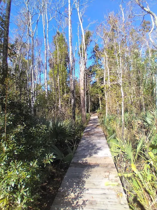 Hawkins Creek Campground Picture 1