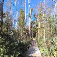 Hawkins Creek Campground ico
