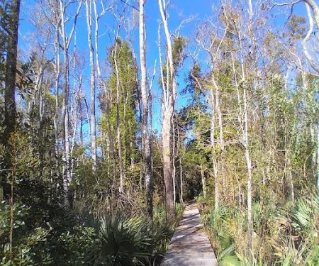 Hawkins Creek Campground