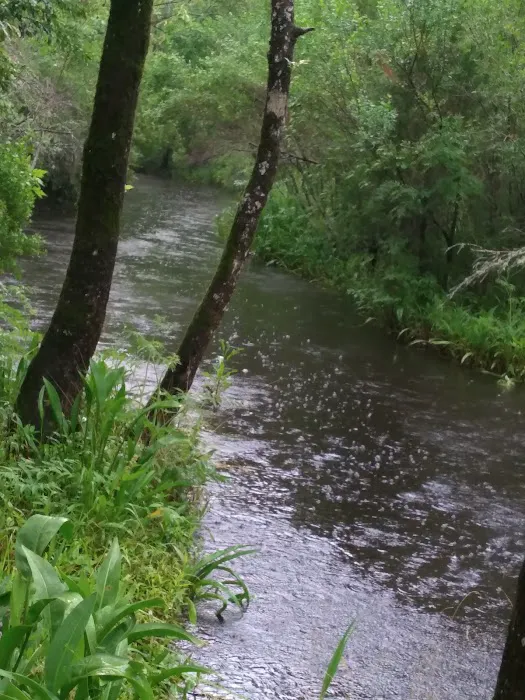 Hawkins Creek Campground Picture 4
